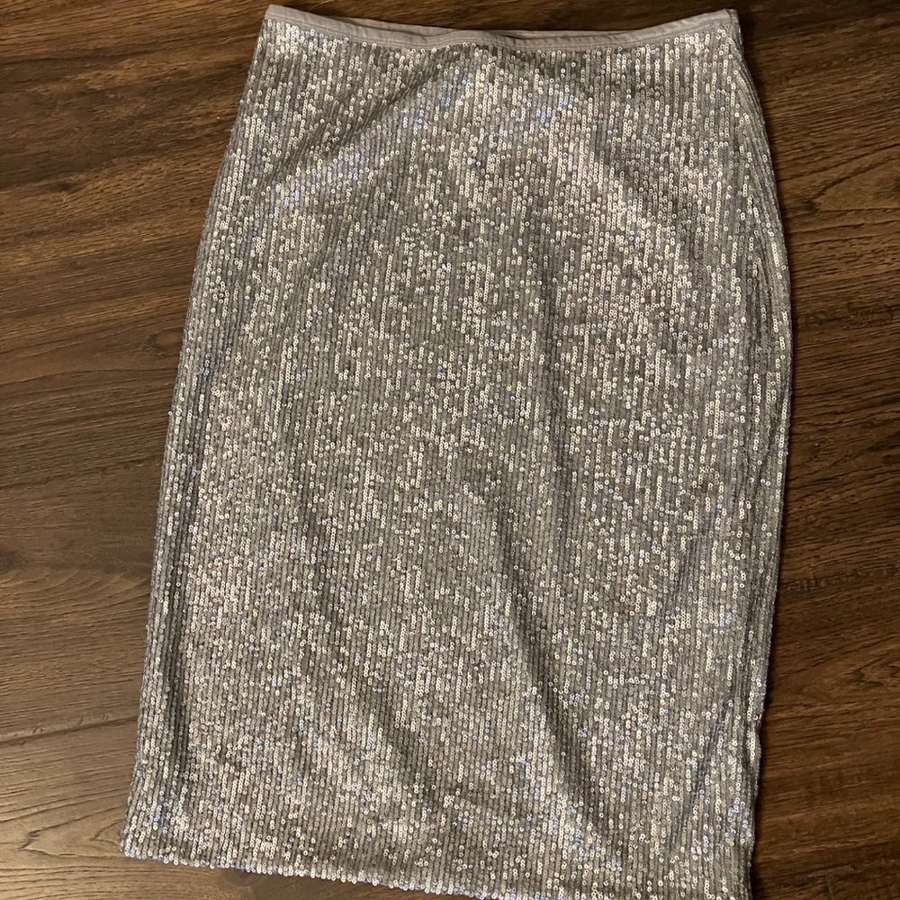 Ann Taylor Factory Sequin Silver Skirt